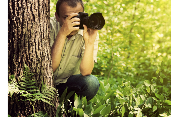 Fotografando a Natureza: Dicas e Inspirações.